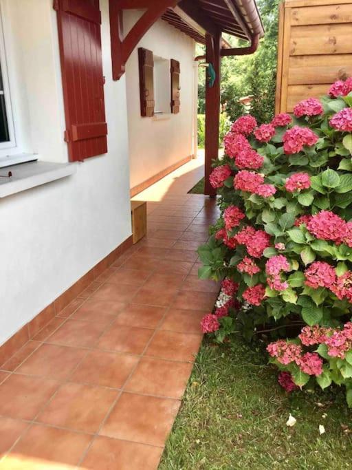 1Km Plage, Agreable Maison 6 Pers Classee 3* Hendaye Exteriör bild