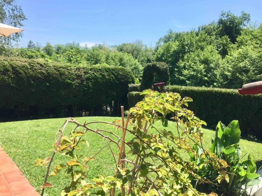 1Km Plage, Agreable Maison 6 Pers Classee 3* Hendaye Exteriör bild